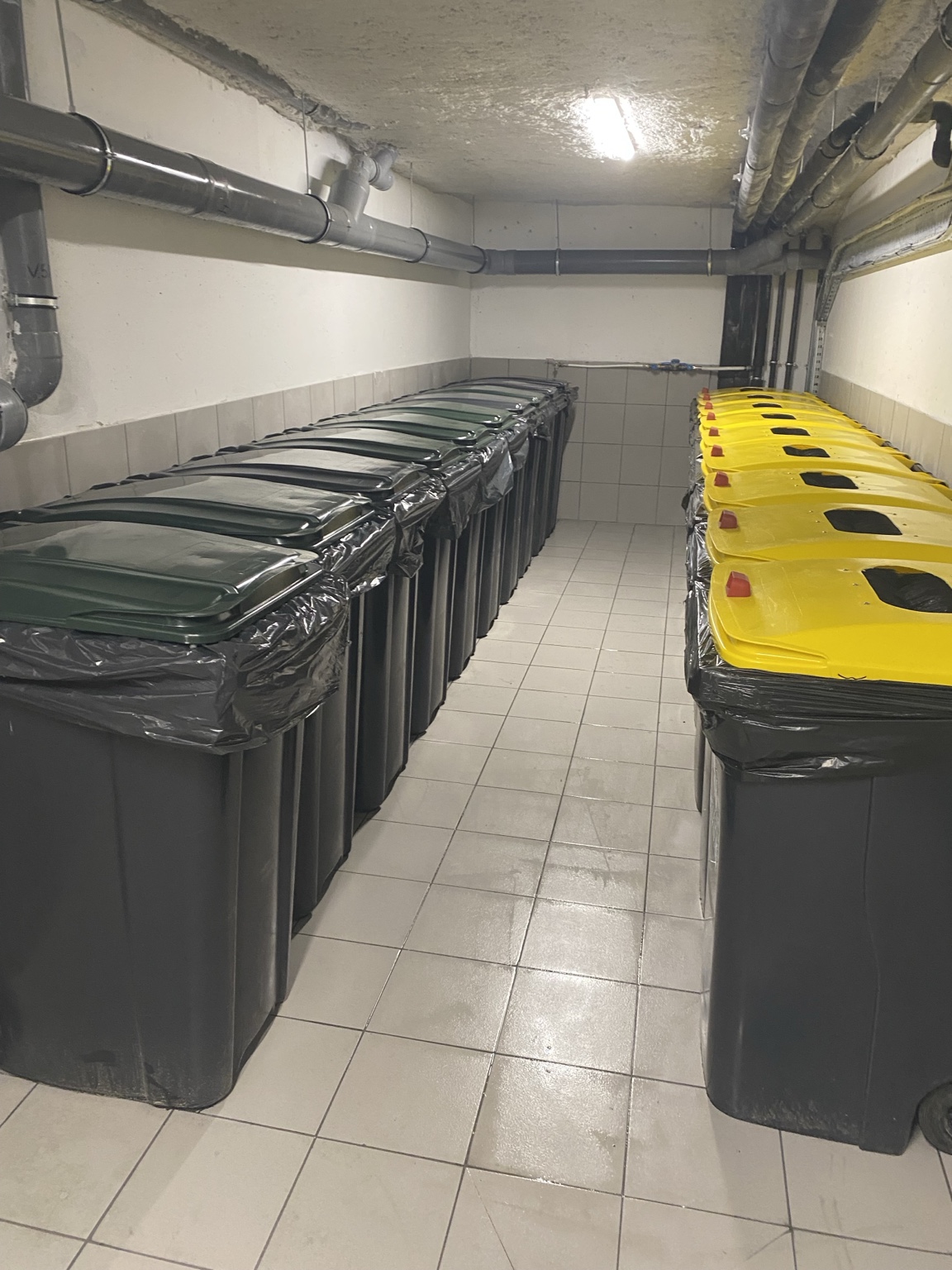 Local poubelles propre et organisé